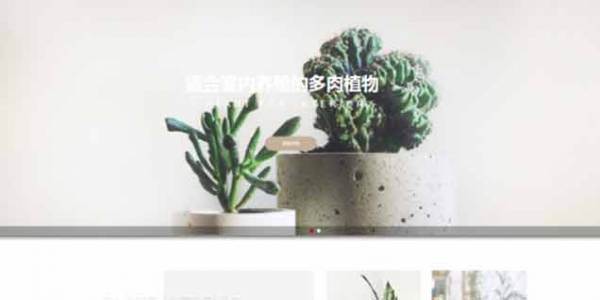 如何開(kāi)發(fā)公司網(wǎng)站制作Web 前端？