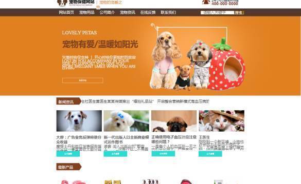 企業(yè)網(wǎng)站建設(shè)，網(wǎng)頁轉(zhuǎn)換系統(tǒng)的信息